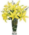 Rise & Shine Lilies Arrangement